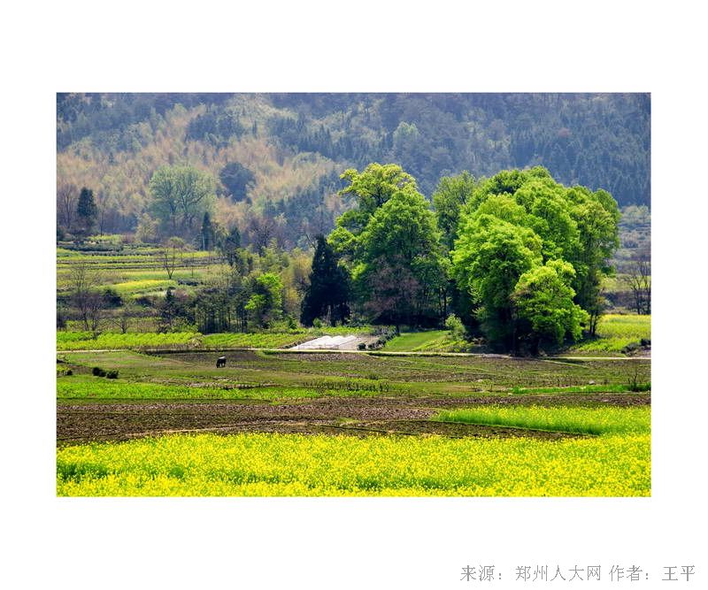 新疆大草原 (大图) 点击还原