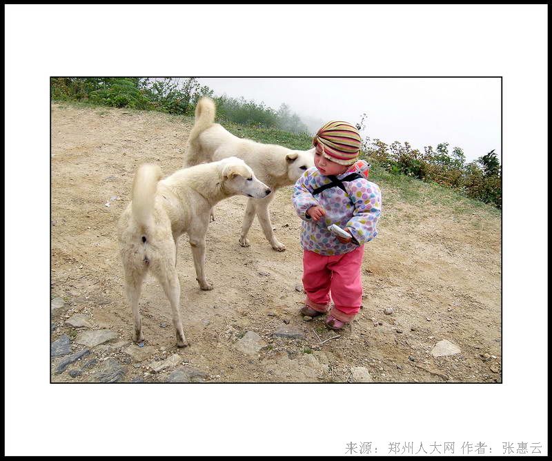 小伙伴 (大图) 点击还原